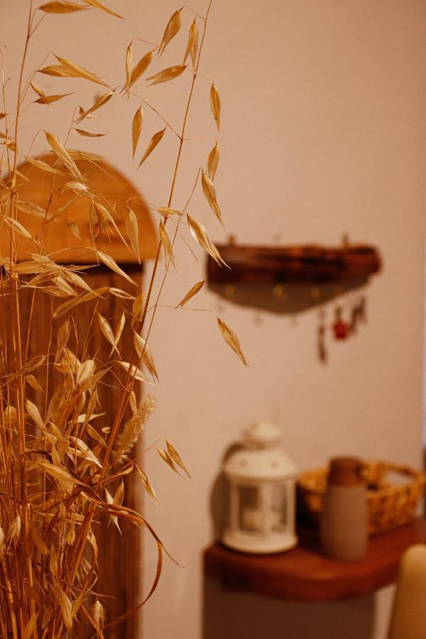 Casa Rustica Em Alte - Karmea Houses エクステリア 写真